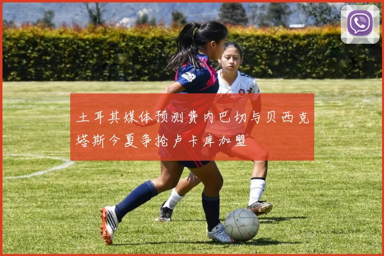 土耳其媒体预测费内巴切与贝西克塔斯今夏争抢卢卡库加盟